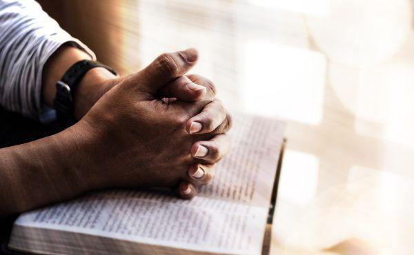 Gospel of the day