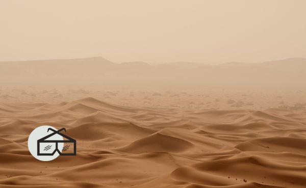 As in a Film: The Desert Experience