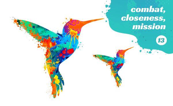 Combat, closeness, mission (13)